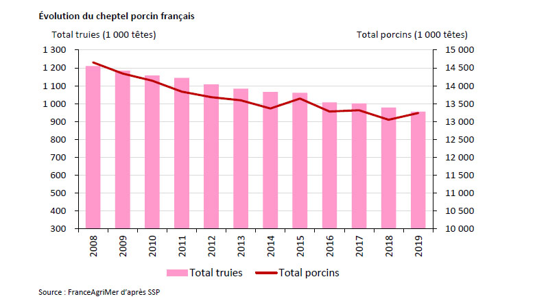 evolution cheptel porcin