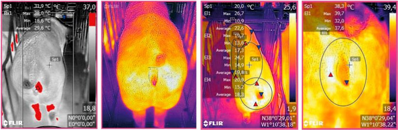 Figura 3: Immagine termica acquisita da un dispositivo FLIR collegato ad uno Smartphone. Fonte: Ramis el al. 2017
