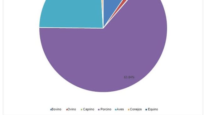 Produzione di carne in Spagna nel 2019.