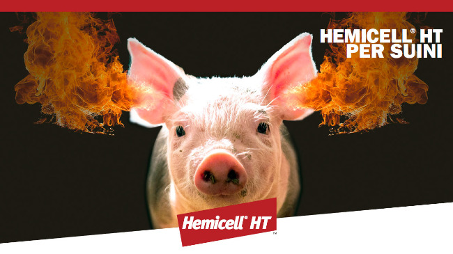 Hemicell-HT