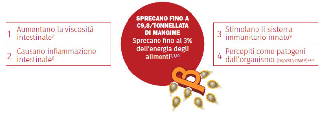 SPRECANO FINO A €9,8/TONNELLATA DI MANGIME