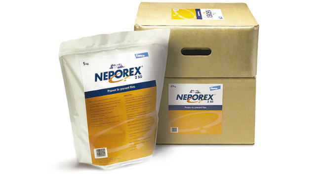 Neporex