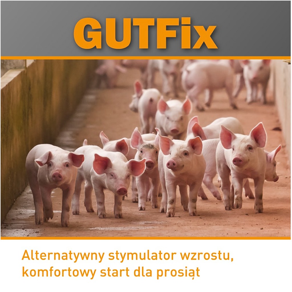 Gutfix