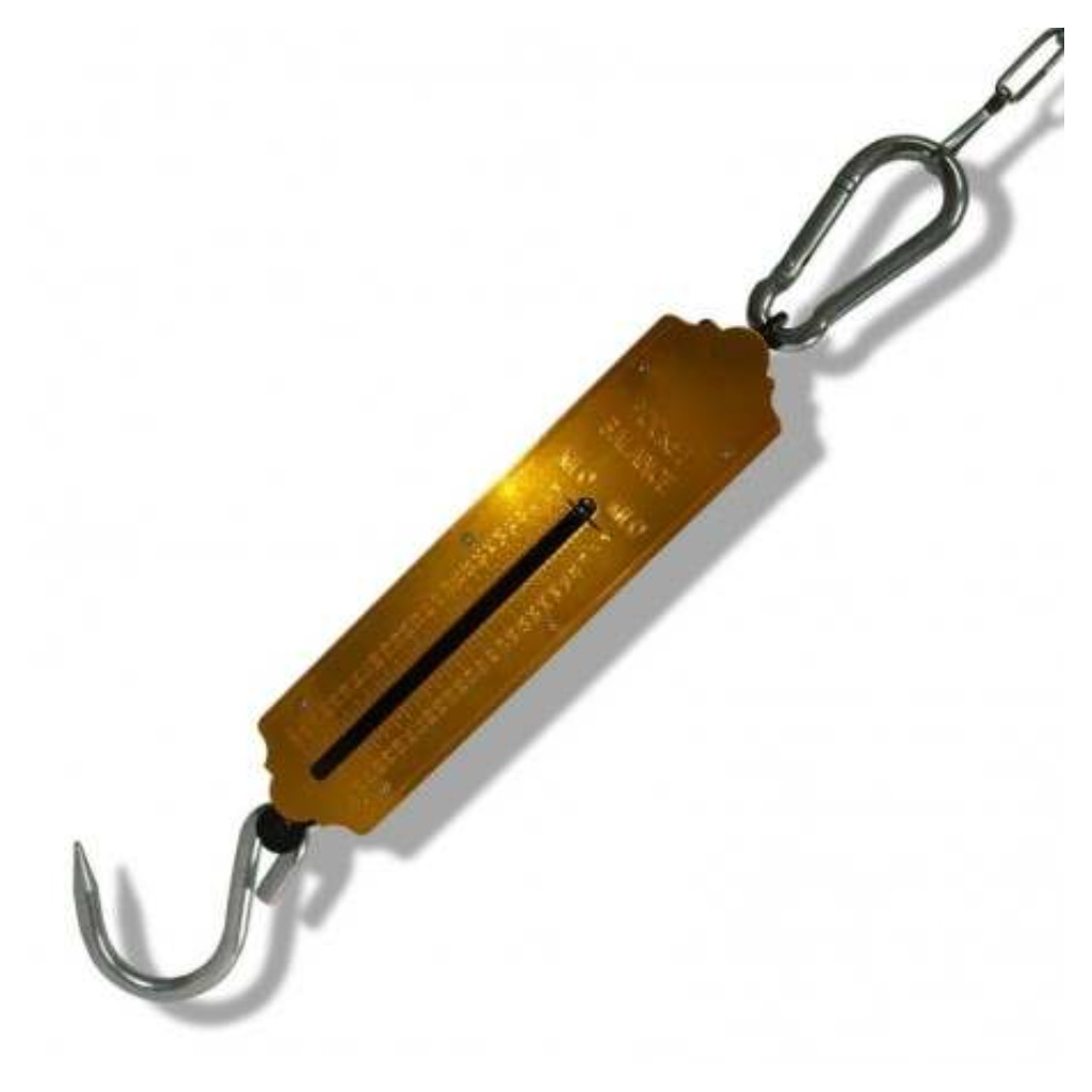 Dynamometr rurowy - 100 kg