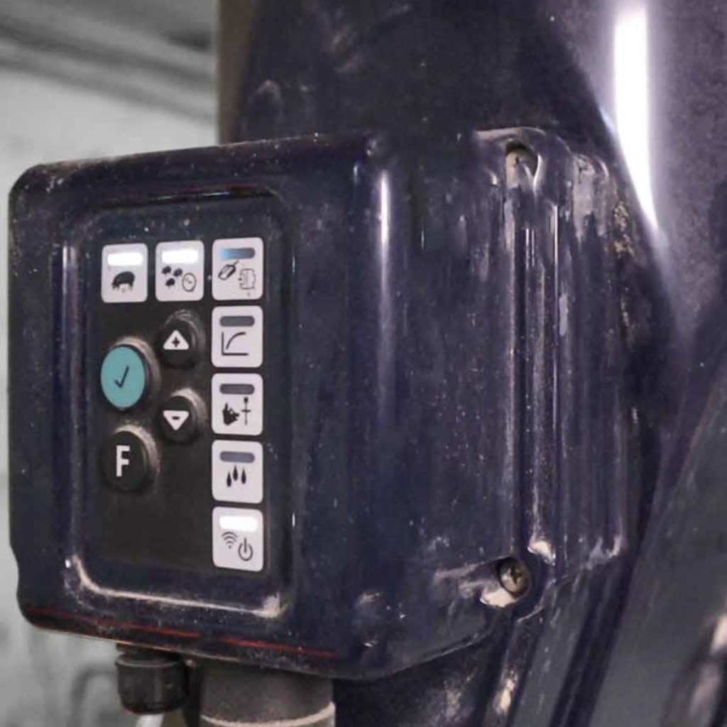 GESTAL Focus: Sistema de alimentación económico para cerdas lactantes 