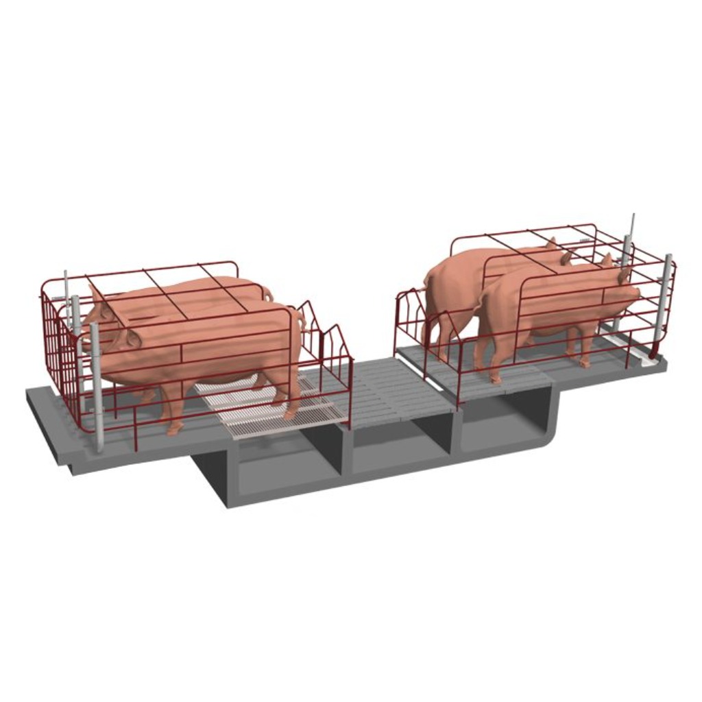 Conjunto Gestação Individual