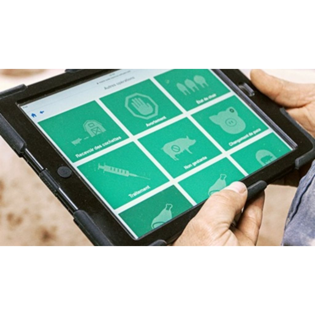 Software de gestión de granjas porcícolas MAXIMUS