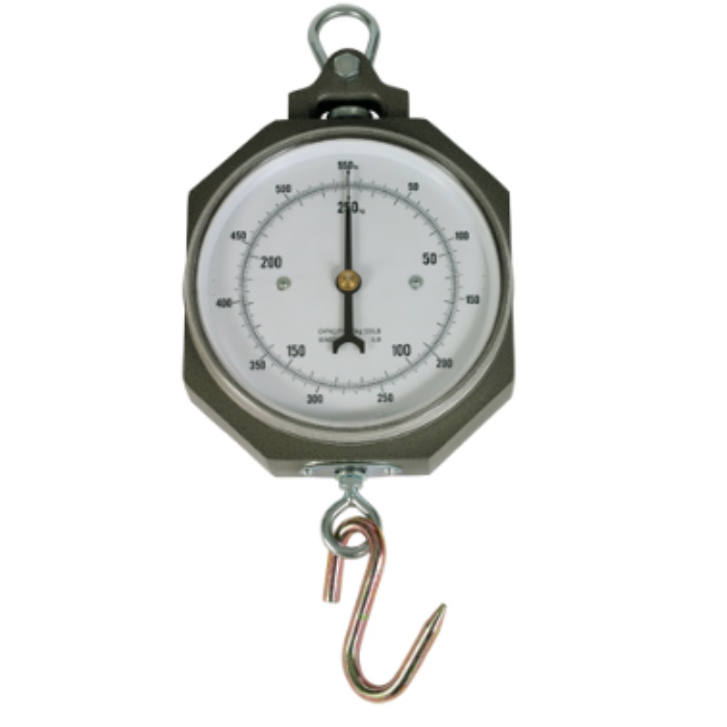 Dynamometer 250 kg with 1000 g graduation