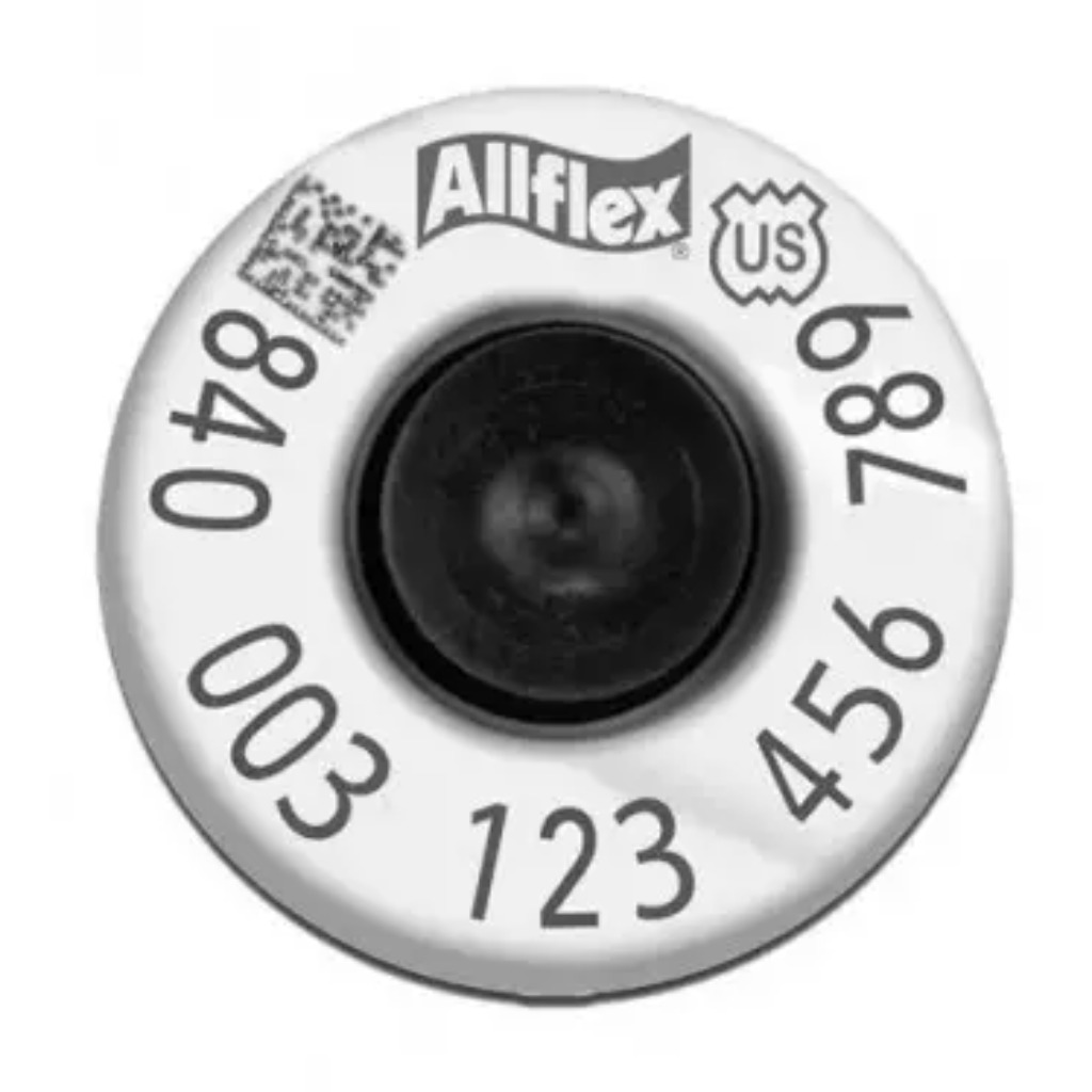 HP HDX electronic ear tag with button