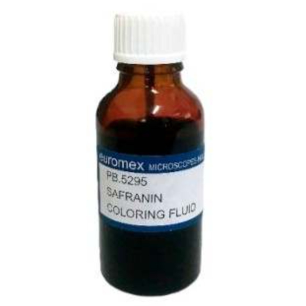 Colorante Euromex Safranine per nucleo e pareti di cellulosa 25 ml