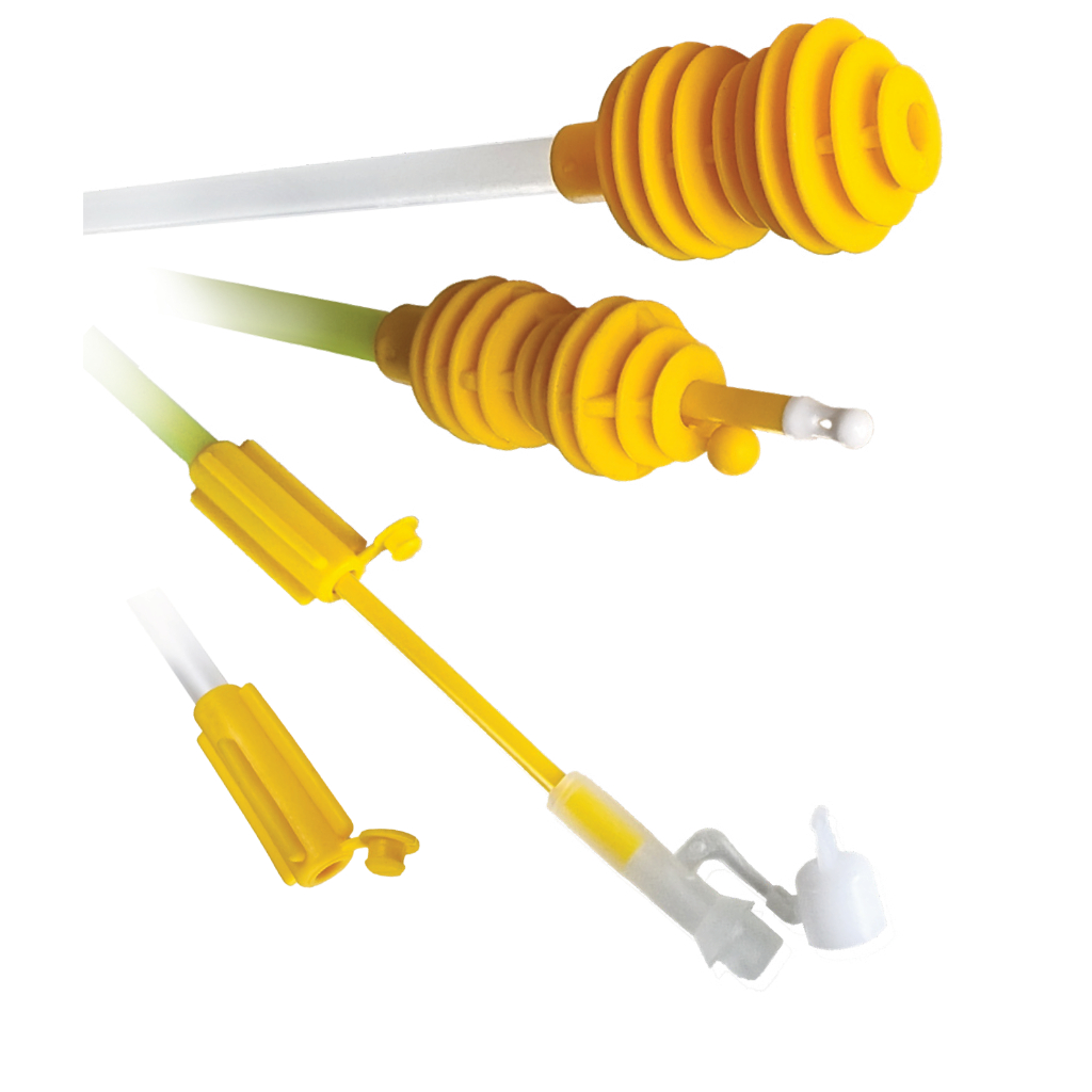 GoldenPig² Line of Swine AI Catheters – Swine Insemination Catheters