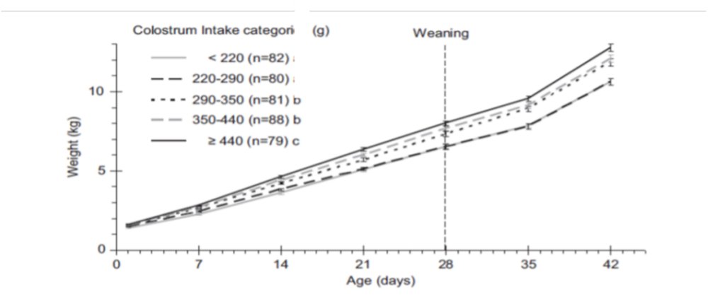 Non è stato fornito nessun testo alternativo per questa immagine