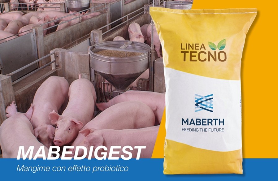 mabedigest mangime effetto probiotico