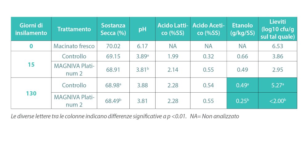 Tabella 1: contenuto di SS (%), pH, composizione chimica (% SS) e microbica (log 10 ufc/g di insilato), di pastone di granella fresco, insilato per 15 e 130 giorni, trattato e non trattato.
