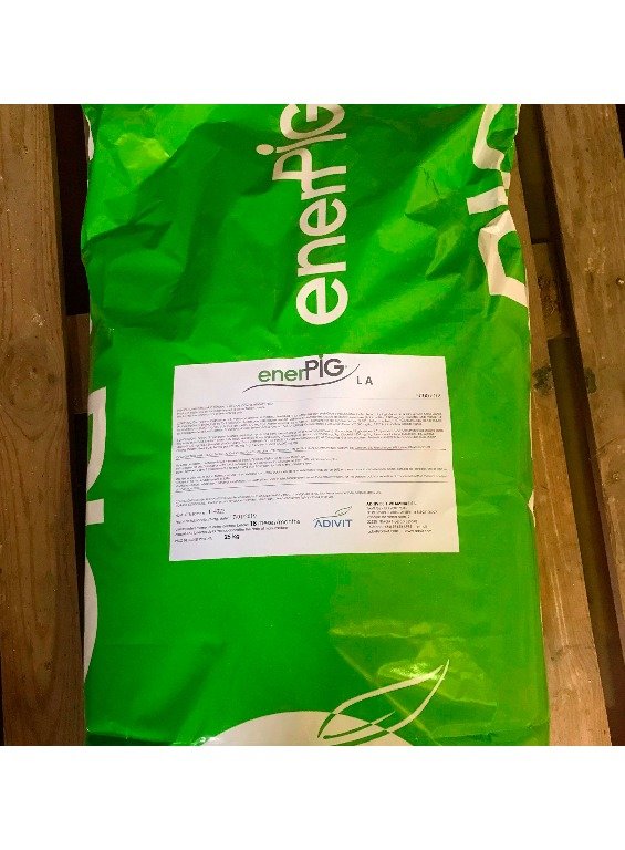 ENERPIG® L.A (2) ENERPIG® L.A (2)