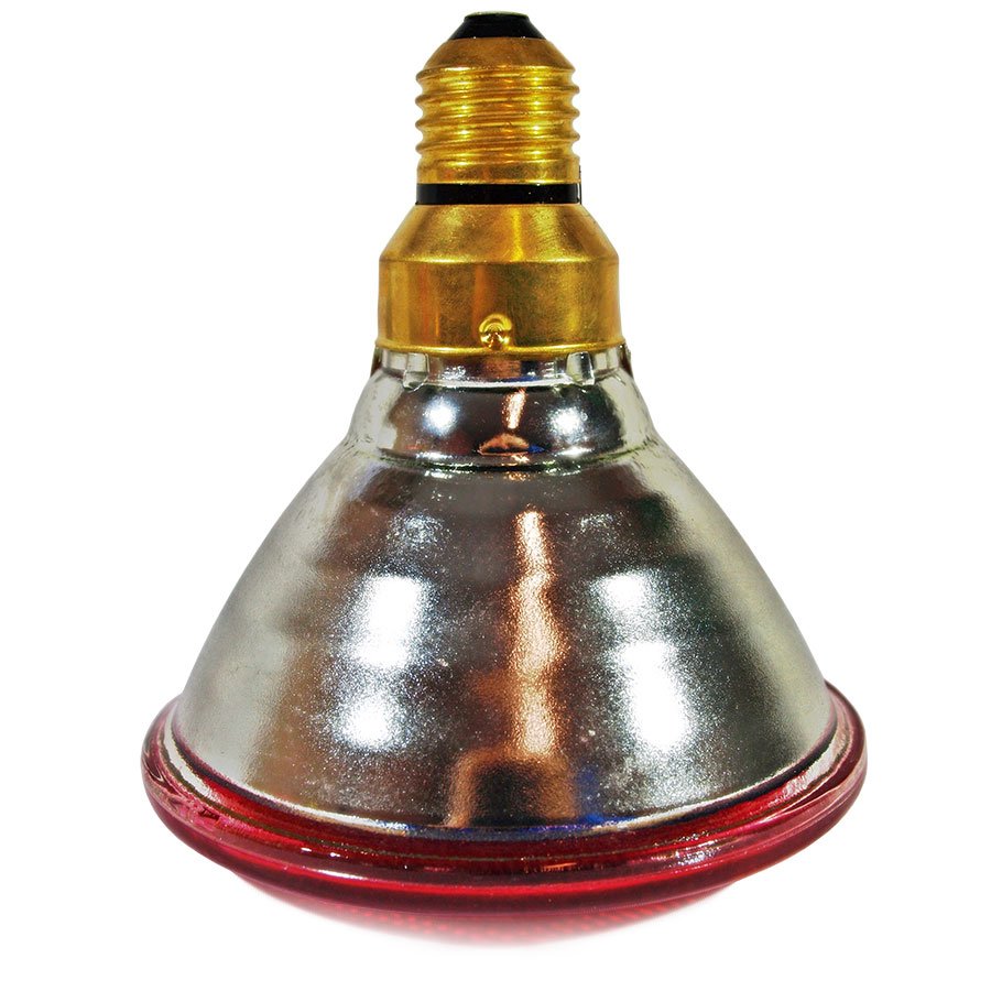 Lampada 333 175W bianca/rossa PAR (5) Lampada 333 175W bianca/rossa PAR (5)