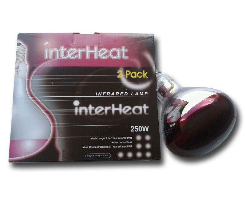 Lampada Interheat 250 watt, rossa, 2 unità Lampada Interheat 250 watt, rossa, 2 unità