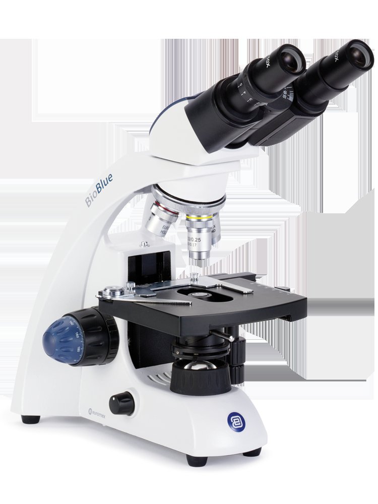 Microscopio binoculare Euromex BioBlue Microscopio binoculare Euromex BioBlue