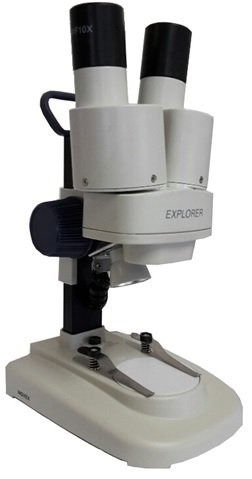 Microscopio stereoscopico per principianti Microscopio stereoscopico per principianti