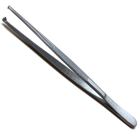 Pinza anatomica per dissezione. Retta. Con dente - 16 cm Pinza anatomica per dissezione. Retta. Con dente - 16 cm