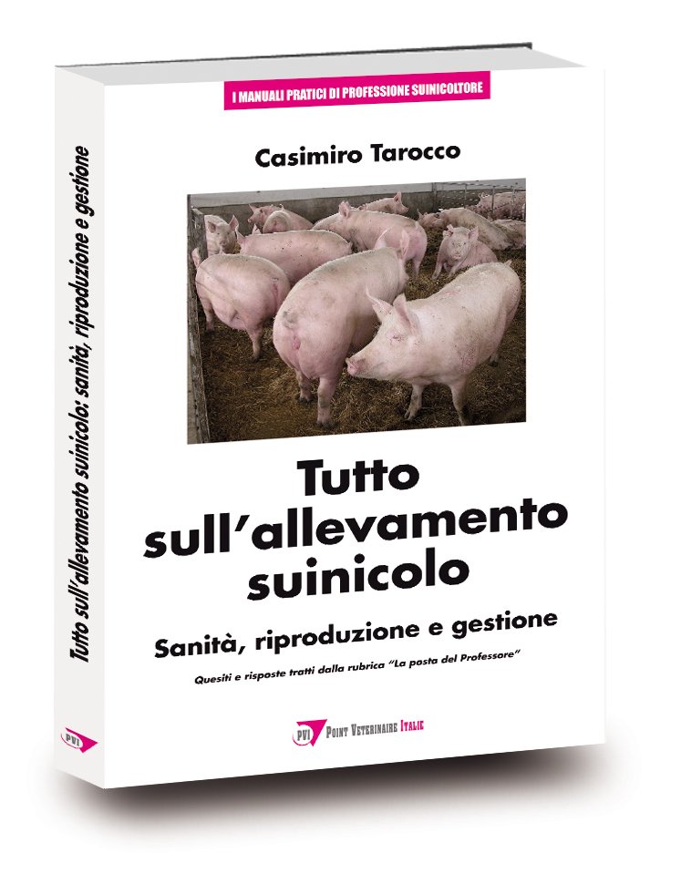 Tutto sull'allevamento suinicolo Tutto sull'allevamento suinicolo