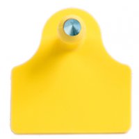 Maschio Miniplus punta di metallo per ovini e suini. Maschio Miniplus punta di metallo per ovini e suini.