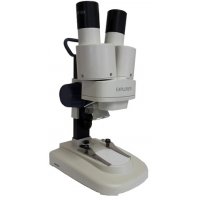 Microscopio stereoscopico per principianti Microscopio stereoscopico per principianti