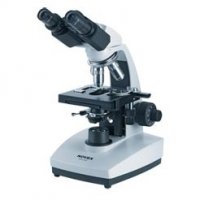 Microscopio Novex B bioculare BBS LED a contrasto di fase Microscopio Novex B bioculare BBS LED a contrasto di fase