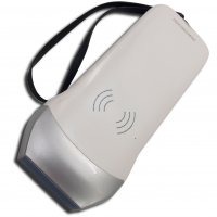 Sonda Wifi SF-1 per misurazione del grasso dorsale e lombo Sonda Wifi SF-1 per misurazione del grasso dorsale e lombo
