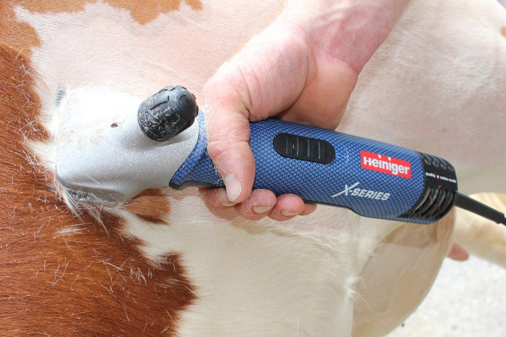 Tosatrice Heiniger Xperience per equini e bovini (7) Tosatrice Heiniger Xperience per equini e bovini (7)