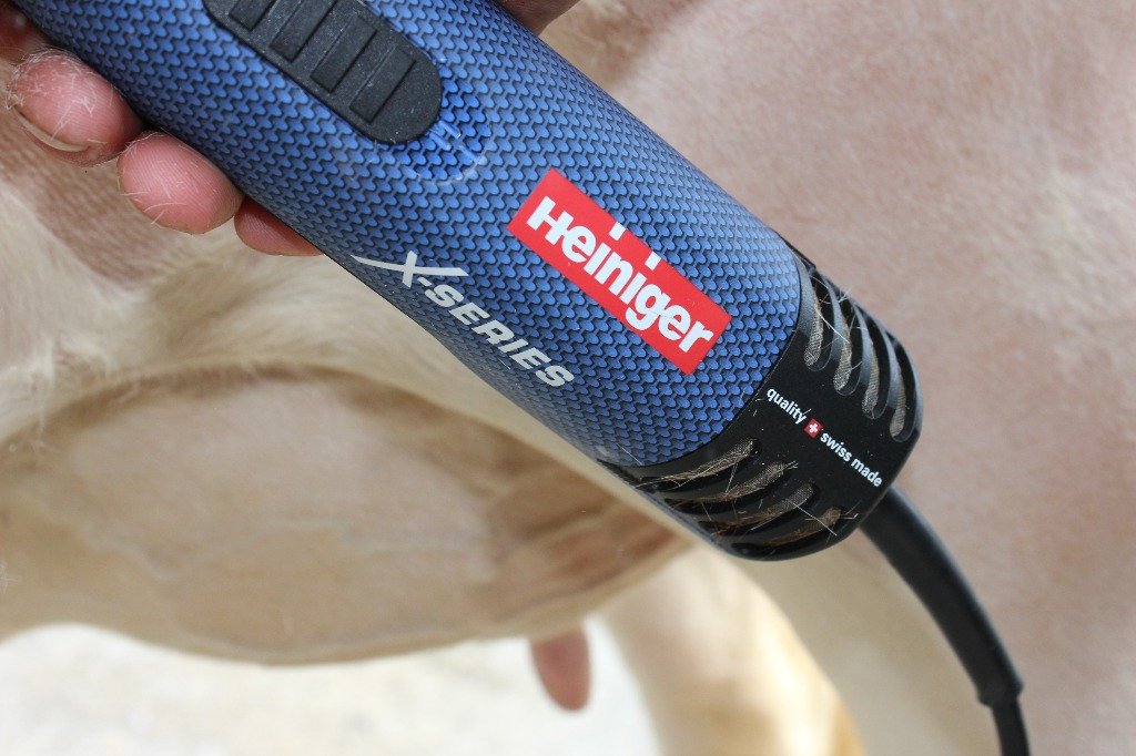 Tosatrice Heiniger Xperience per equini e bovini (8) Tosatrice Heiniger Xperience per equini e bovini (8)