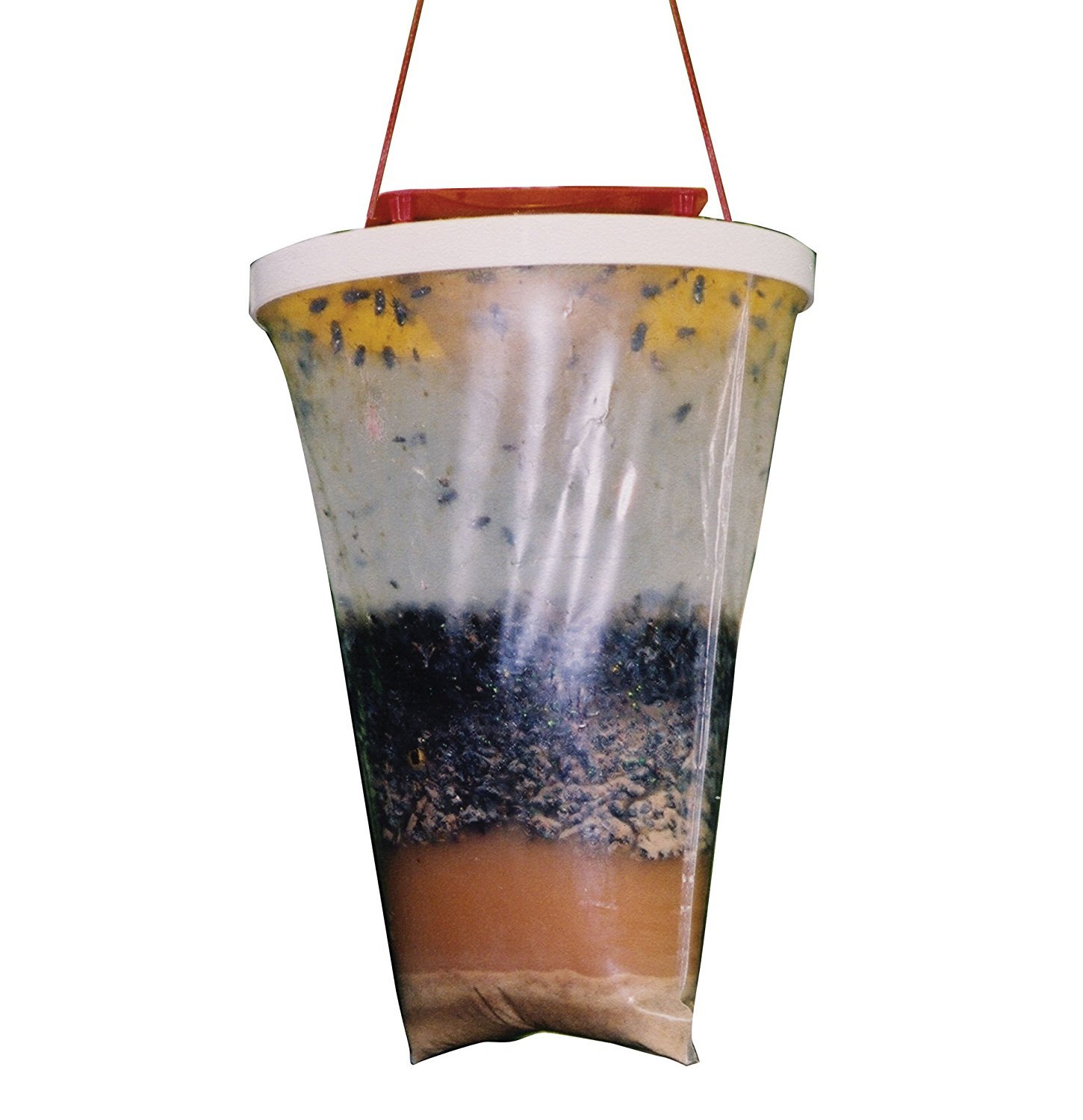 Trappola RedTop Cattura mosche (2) Trappola RedTop Cattura mosche (2)