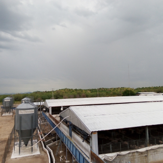 Jos&eacute; Manuel  Lopez flores 