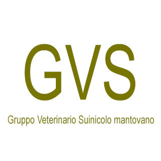 Gruppo veterinario suinicolo mantovano