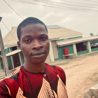 Victor John  Oluwaseyi 