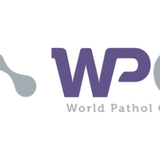 Javier Orcastegui Delso