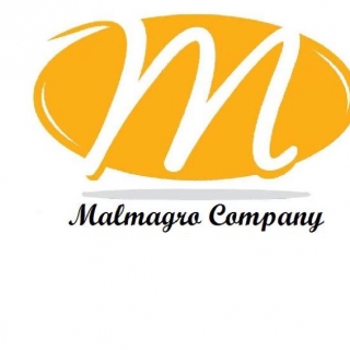 guillermo malmagro arellano