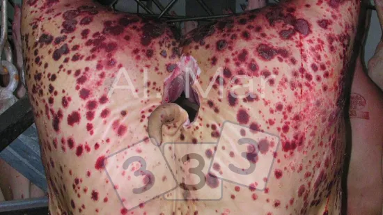 Settimana del 03-Mag-2017